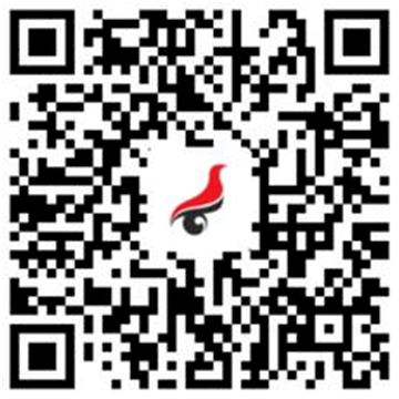 f08e2d7868c9dccac43556099e7e7114.png